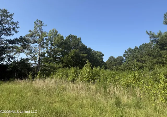 Photo 8 of Sale Pending at Joe Hall Rd, Flora, MS 39071 | MLS# 4157388 | Listing updated on 2026-08-15