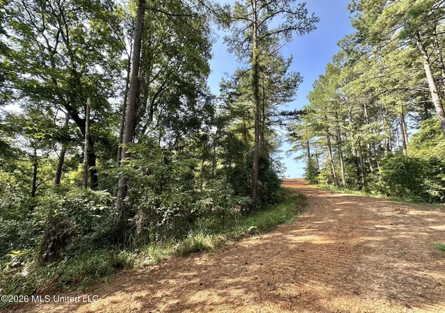Photo 1 of Land for sale at Highway 43, Ethel, MS 39067 | MLS# 4157342 | Listing updated on 2026-09-02