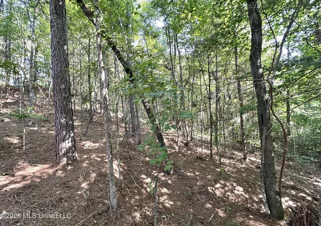 Photo 2 of Land for sale at Highway 43, Ethel, MS 39067 | MLS# 4157342 | Listing updated on 2026-09-02