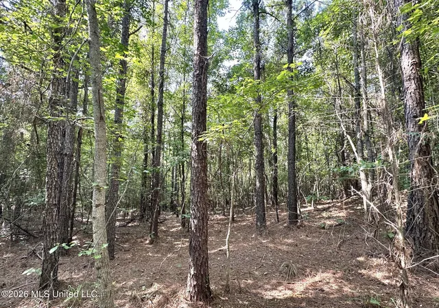 Photo 3 of Land for sale at Highway 43, Ethel, MS 39067 | MLS# 4157342 | Listing updated on 2026-09-02