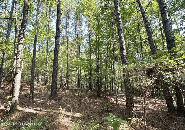Photo 3 of Land for sale at Highway 43, Ethel, MS 39067 | MLS# 4157342 | Listing updated on 2026-09-02