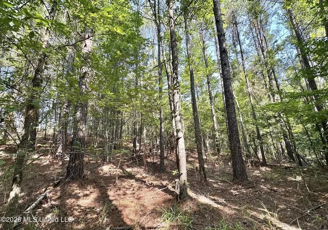 Photo 4 of Land for sale at Highway 43, Ethel, MS 39067 | MLS# 4157342 | Listing updated on 2026-09-02