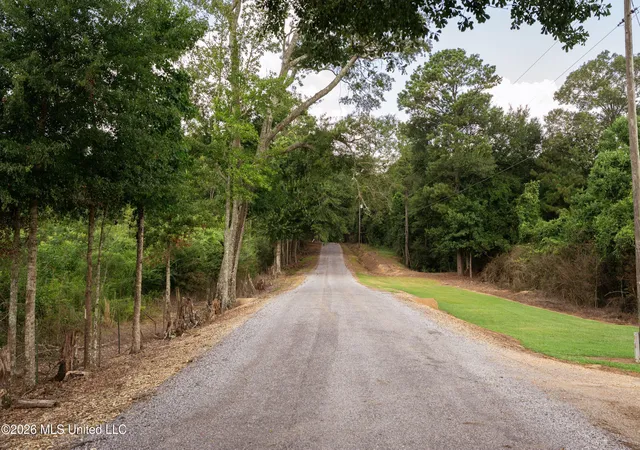 Photo 27 of Sale Pending at 226 Van Holmes Rd, Tylertown, MS 39667 | MLS# 4157349 | Listing updated on 2026-08-31
