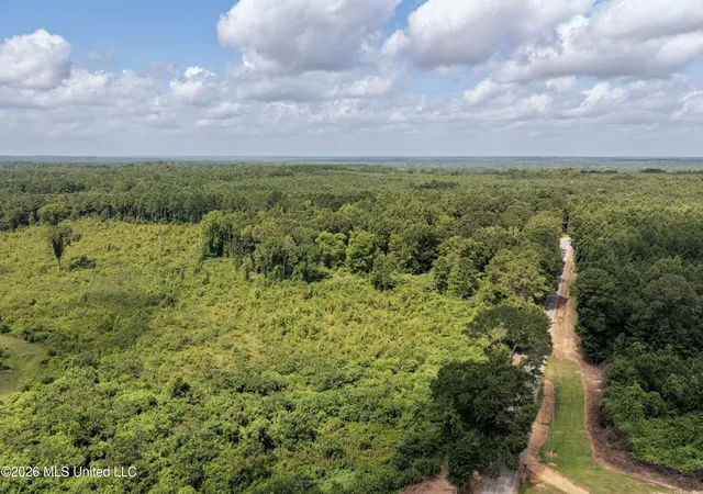 Photo 3 of Sale Pending at 226 Van Holmes Rd, Tylertown, MS 39667 | MLS# 4157349 | Listing updated on 2026-08-31