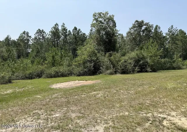 1st image of Roy Oneal Rd, Perkinston, MS 39573 | MLS# 4157361