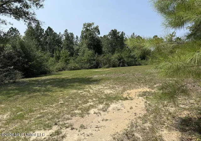 2nd image of Roy Oneal Rd, Perkinston, MS 39573 | MLS# 4157361