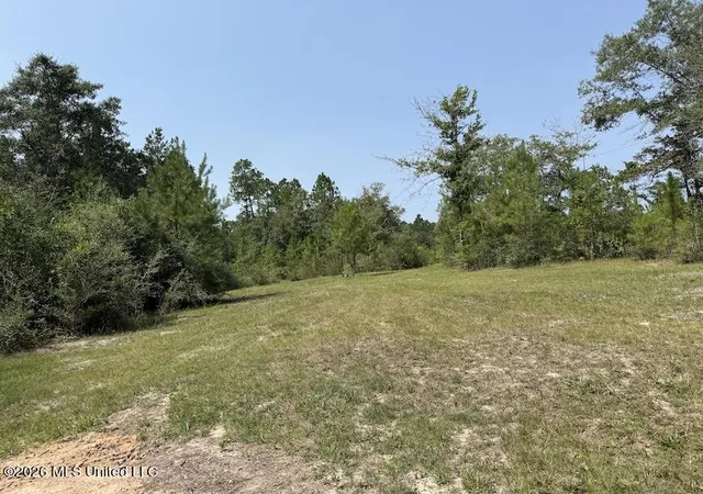 3rd image of Roy Oneal Rd, Perkinston, MS 39573 | MLS# 4157361