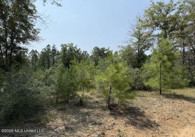 4th image of Roy Oneal Rd, Perkinston, MS 39573 | MLS# 4157361