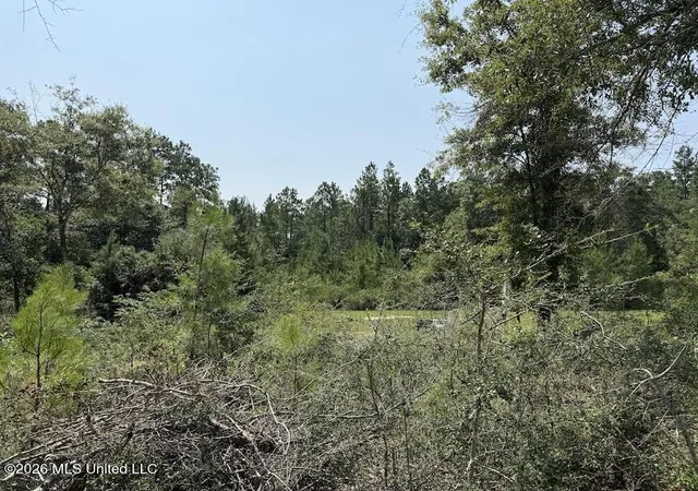 5th image of Roy Oneal Rd, Perkinston, MS 39573 | MLS# 4157361