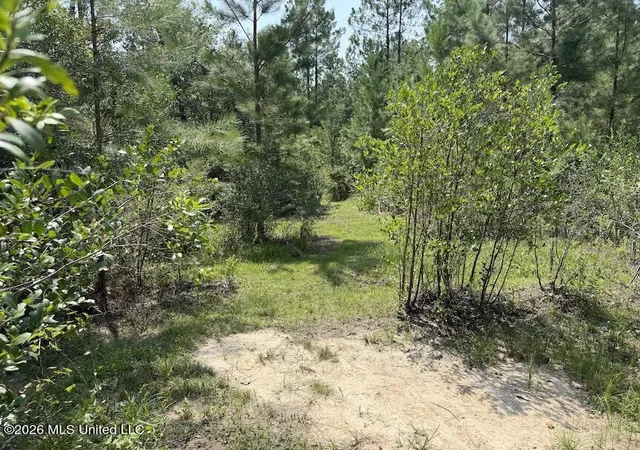 8th image of Roy Oneal Rd, Perkinston, MS 39573 | MLS# 4157361