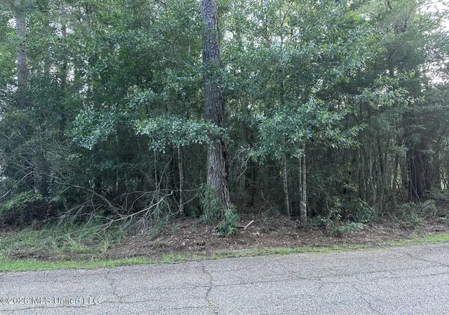Photo 2 of Sale Pending at Covered Brg Rd, Carriere, MS 39426 | MLS# 4157369 | Listing updated on 2026-09-14