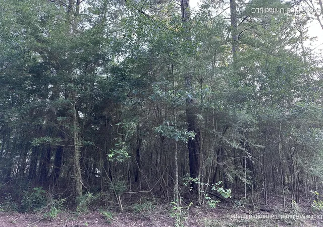 Photo 3 of Sale Pending at Covered Brg Rd, Carriere, MS 39426 | MLS# 4157369 | Listing updated on 2026-09-14