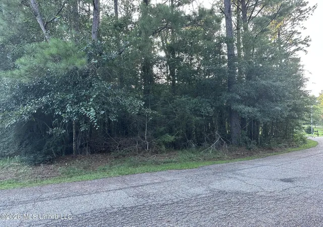 Photo 4 of Sale Pending at Covered Brg Rd, Carriere, MS 39426 | MLS# 4157369 | Listing updated on 2026-09-14