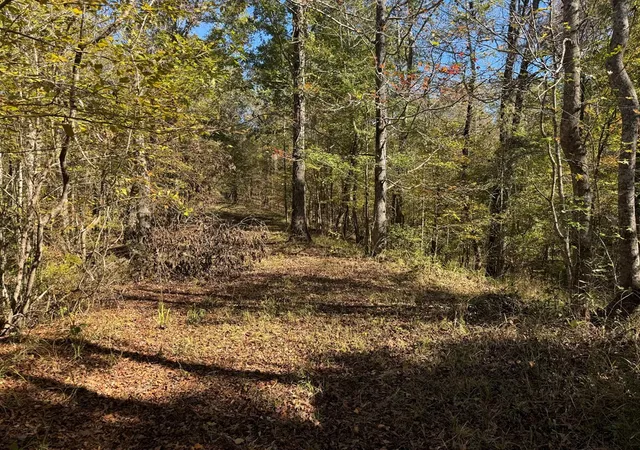 Photo 3 of Sale Pending at 2014 Sanders Ln, Utica, MS 39175 | MLS# 4157366 | Listing updated on 2026-08-28