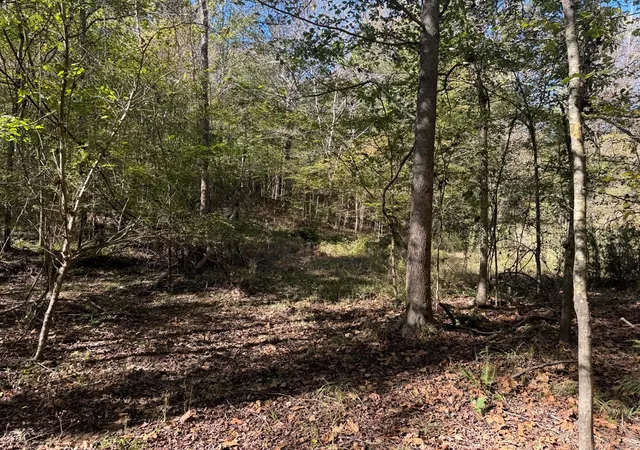Photo 4 of Sale Pending at 2014 Sanders Ln, Utica, MS 39175 | MLS# 4157366 | Listing updated on 2026-08-28