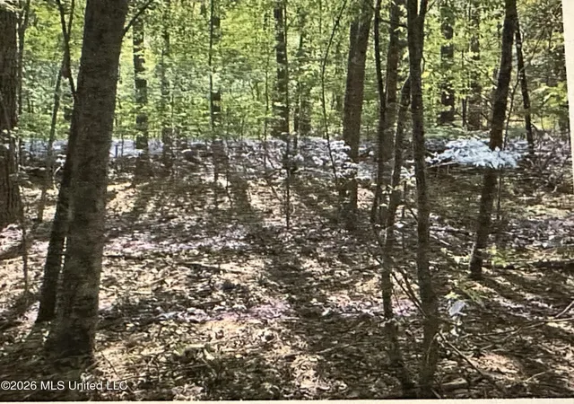 Land for sale at Stigler Rosa Dr, Florence, MS 39073 | MLS# 4157381