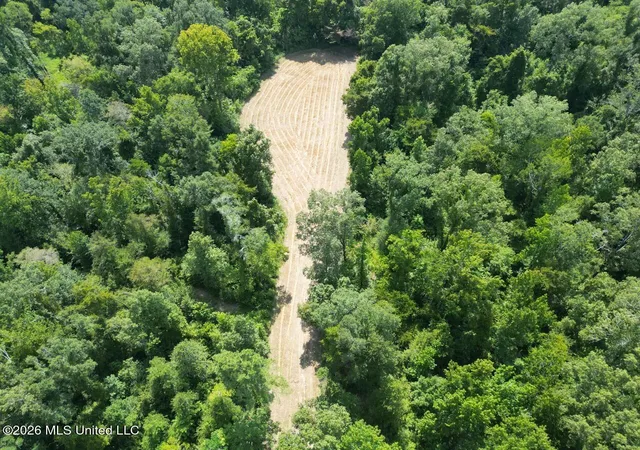 Photo 3 of Land for sale at Oil Well Rd, Fayette, MS 39069 | MLS# 4157395 | Listing updated on 2026-07-29