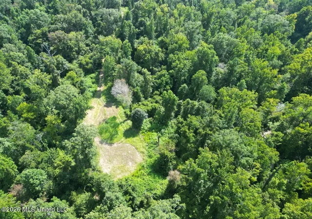 Photo 3 of Land for sale at Oil Well Rd, Fayette, MS 39069 | MLS# 4157395 | Listing updated on 2026-07-29