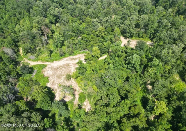 Photo 4 of Land for sale at Oil Well Rd, Fayette, MS 39069 | MLS# 4157395 | Listing updated on 2026-07-29