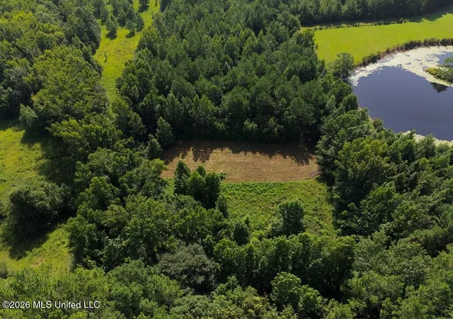 Photo 2 of Land for sale at Remington Rd, Poplarville, MS 39470 | MLS# 4157398 | Listing updated on 2026-07-31