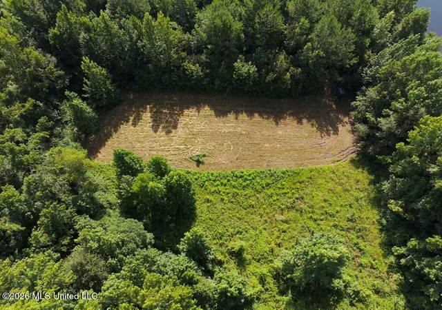Photo 3 of Land for sale at Remington Rd, Poplarville, MS 39470 | MLS# 4157398 | Listing updated on 2026-07-31
