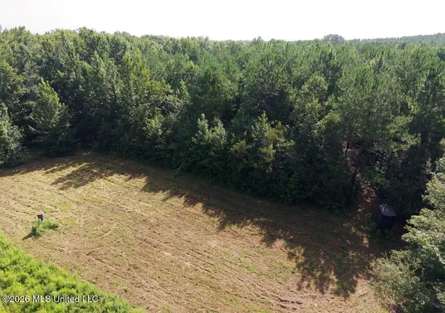 Photo 3 of Land for sale at Remington Rd, Poplarville, MS 39470 | MLS# 4157398 | Listing updated on 2026-07-31