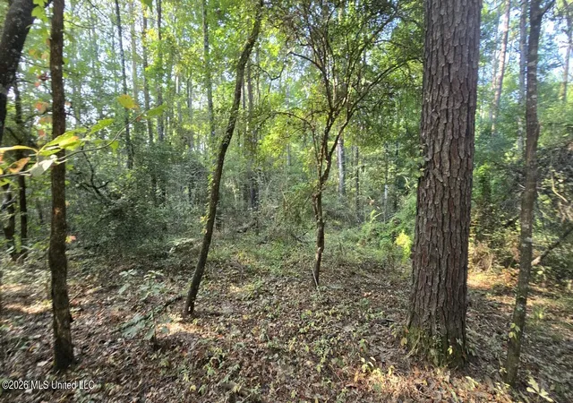 Photo 1 of Land for sale at Stump Rd, Gloster, MS 39638 | MLS# 4157425 | Listing updated on 2026-07-29