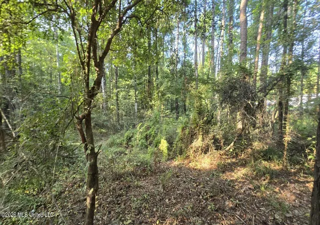 Photo 2 of Land for sale at Stump Rd, Gloster, MS 39638 | MLS# 4157425 | Listing updated on 2026-07-29