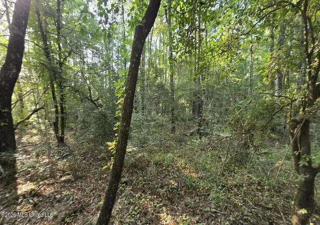 Photo 3 of Land for sale at Stump Rd, Gloster, MS 39638 | MLS# 4157425 | Listing updated on 2026-10-12