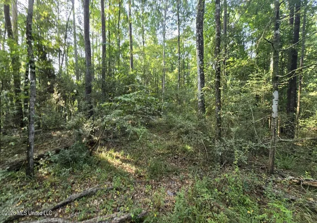 Photo 3 of Land for sale at Stump Rd, Gloster, MS 39638 | MLS# 4157425 | Listing updated on 2026-10-12