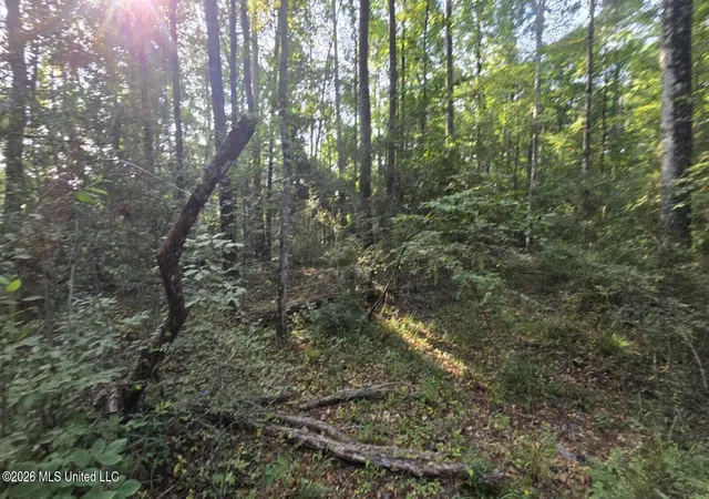 Photo 4 of Land for sale at Stump Rd, Gloster, MS 39638 | MLS# 4157425 | Listing updated on 2026-10-12