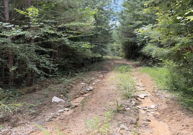 Photo 1 of Land for sale at 7510 Morton Marathon Rd, Pulaski, MS 39152 | MLS# 4157436 | Listing updated on 2026-07-29