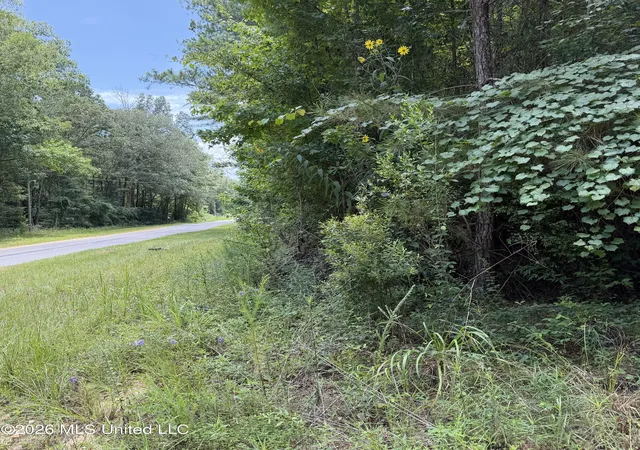 Photo 2 of Land for sale at 7510 Morton Marathon Rd, Pulaski, MS 39152 | MLS# 4157436 | Listing updated on 2026-07-29