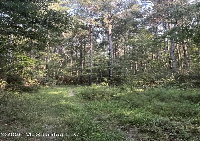 2nd image of 000 Crane Creek Rd Rd, Perkinston, MS 39573 | MLS# 4157731