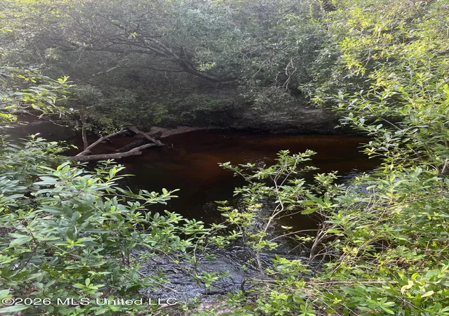 3rd image of 000 Crane Creek Rd Rd, Perkinston, MS 39573 | MLS# 4157731