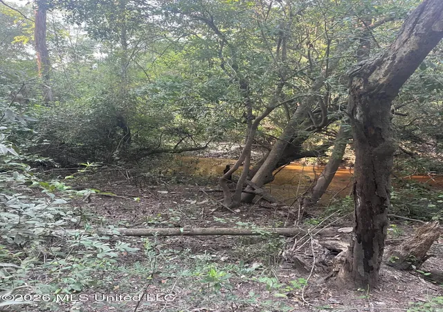 5th image of 000 Crane Creek Rd Rd, Perkinston, MS 39573 | MLS# 4157731