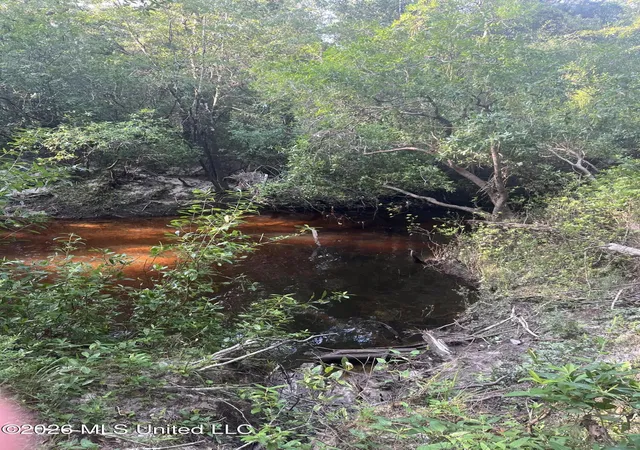 9th image of 000 Crane Creek Rd Rd, Perkinston, MS 39573 | MLS# 4157731