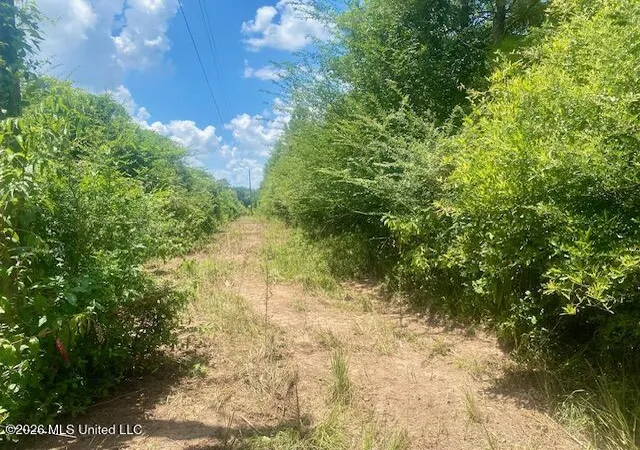 Photo 1 of Land for sale at Archie Boyd Rd, Jayess, MS 39641 | MLS# 4157590 | Listing updated on 2026-07-30