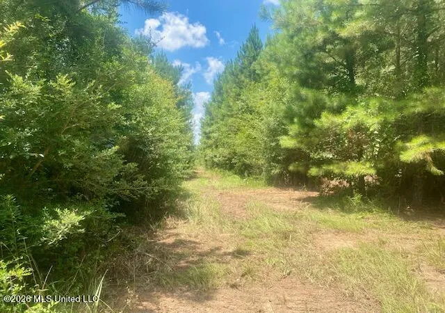 Photo 2 of Land for sale at Archie Boyd Rd, Jayess, MS 39641 | MLS# 4157590 | Listing updated on 2026-07-30