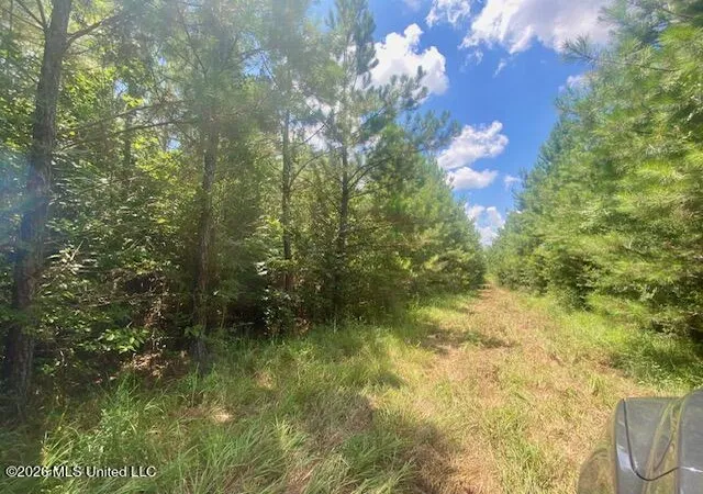 Photo 2 of Land for sale at Archie Boyd Rd, Jayess, MS 39641 | MLS# 4157590 | Listing updated on 2026-07-30
