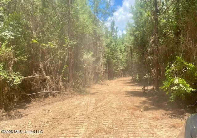 Photo 3 of Land for sale at Archie Boyd Rd, Jayess, MS 39641 | MLS# 4157590 | Listing updated on 2026-07-30