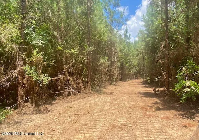 Photo 4 of Land for sale at Archie Boyd Rd, Jayess, MS 39641 | MLS# 4157590 | Listing updated on 2026-07-30