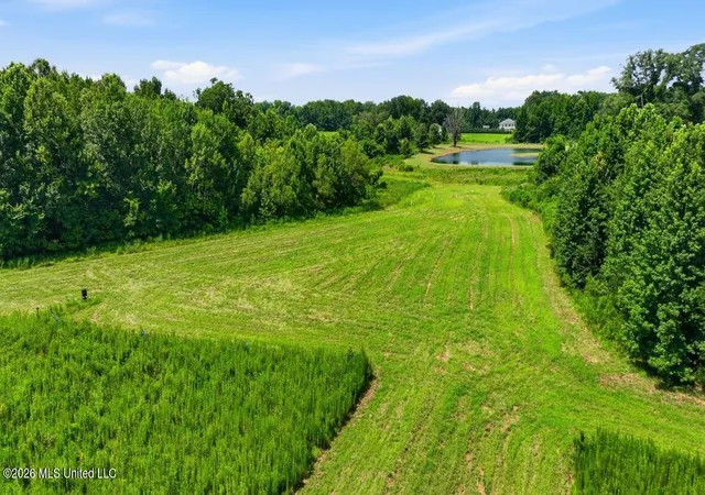 81st image of 2363 Fugates Rd, Bentonia, MS 39040 | MLS# 4157609