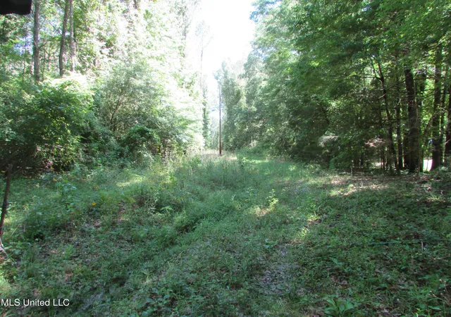 5th image of Bend Road, Vaughan, MS 39179 | MLS# 4157458