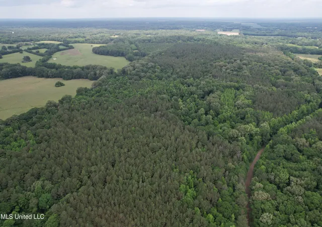 1st image of Vaughn Road & Bend Road, Vaughan, MS 39179 | MLS# 4157461