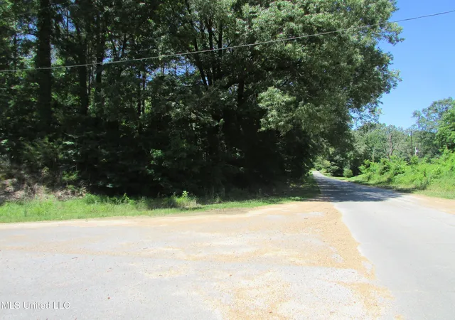20th image of Vaughn Road & Bend Road, Vaughan, MS 39179 | MLS# 4157461