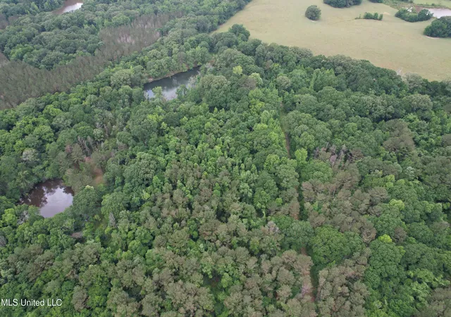 2nd image of Vaughn Road & Bend Road, Vaughan, MS 39179 | MLS# 4157461
