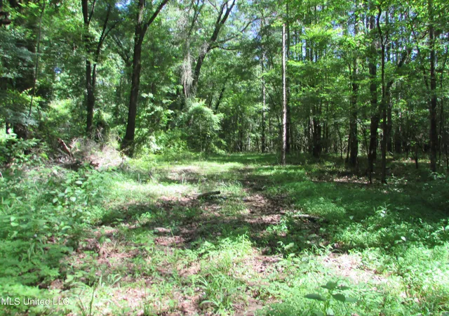 4th image of Vaughn Road & Bend Road, Vaughan, MS 39179 | MLS# 4157461