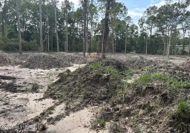 Photo 2 of Land for sale at Martin Blf Rd, Gautier, MS 39553 | MLS# 4157499 | Listing updated on 2026-09-09