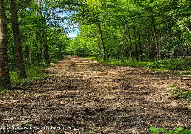 Photo 3 of Land for sale at County Rd 550, Minter City, MS 38944 | MLS# 4157595 | Listing updated on 2026-07-30